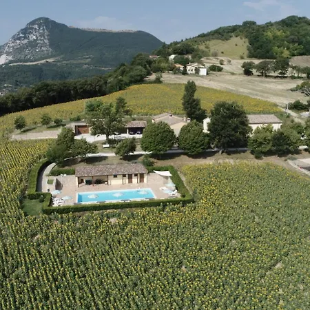 Le Querce Serra San Quirico